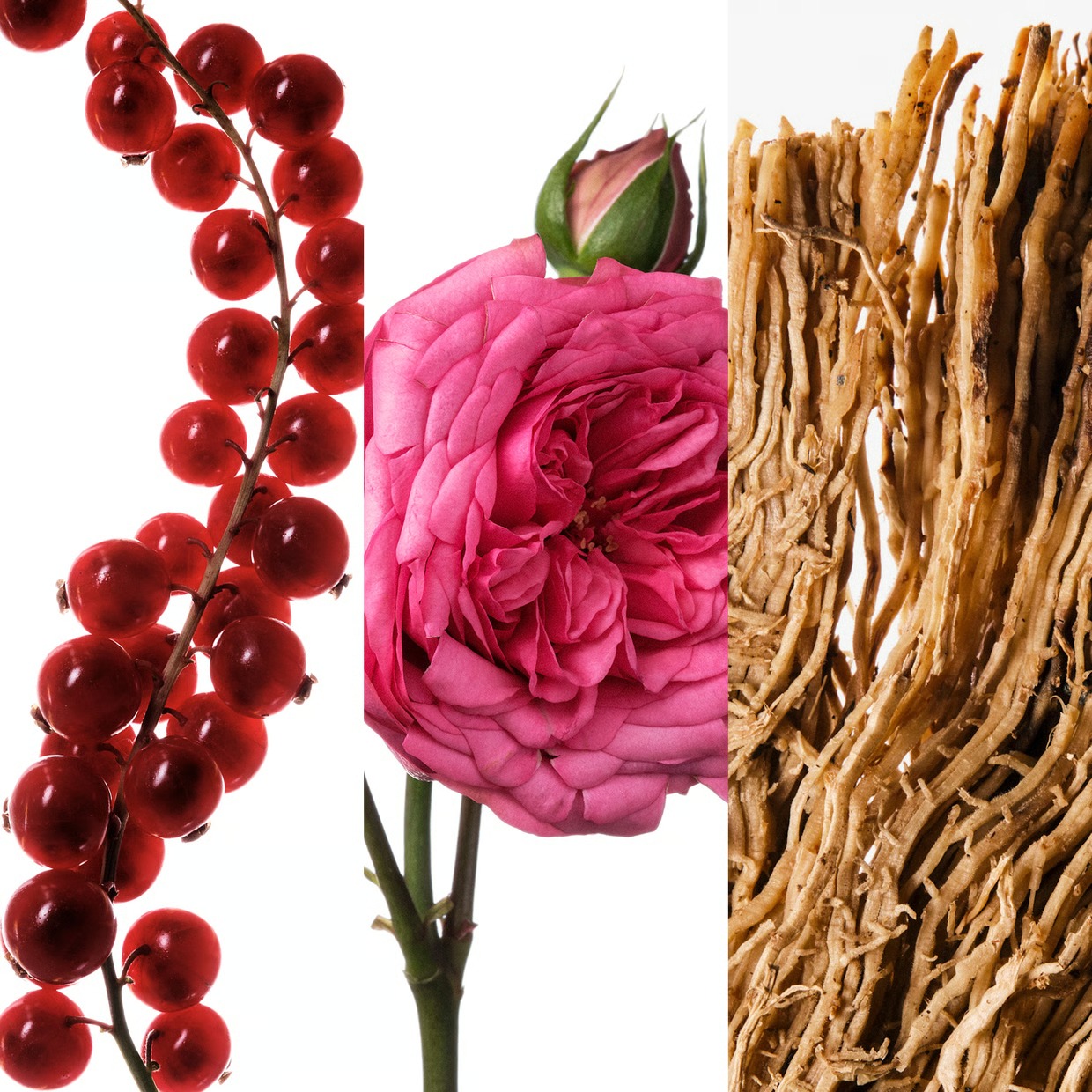 คาร์โรไลนา เฮเรร่า วีรี่ กู๊ด  - Perfume Fragrance Vanilla บทวิจารณ์และราคา