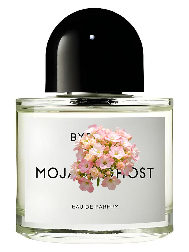 น้ำหอมยูนิเซ็กส์ 100 มล. 3.4 อ - Amber Musk Oil บทวิจารณ์และราคา